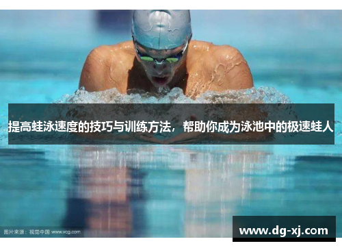 提高蛙泳速度的技巧与训练方法，帮助你成为泳池中的极速蛙人