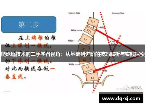 爬泳腿技术的二手学者视角：从基础到进阶的技巧解析与实践探索